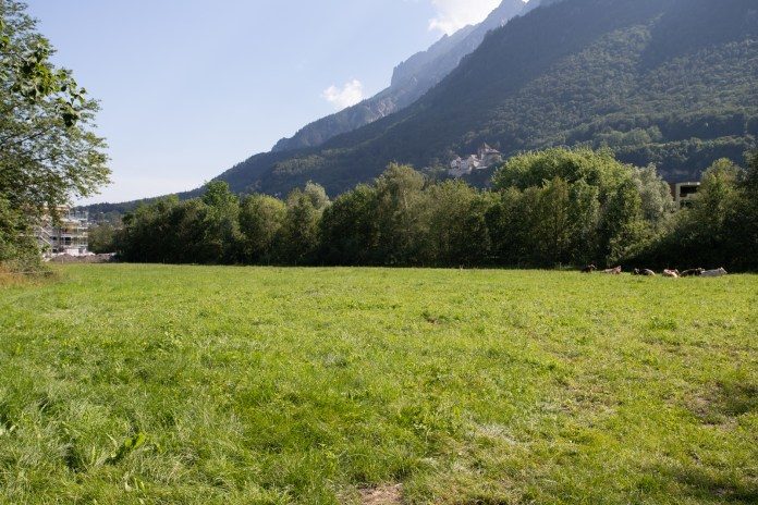 Spitalneubau 2019,Abstimmung Grüne Wiese